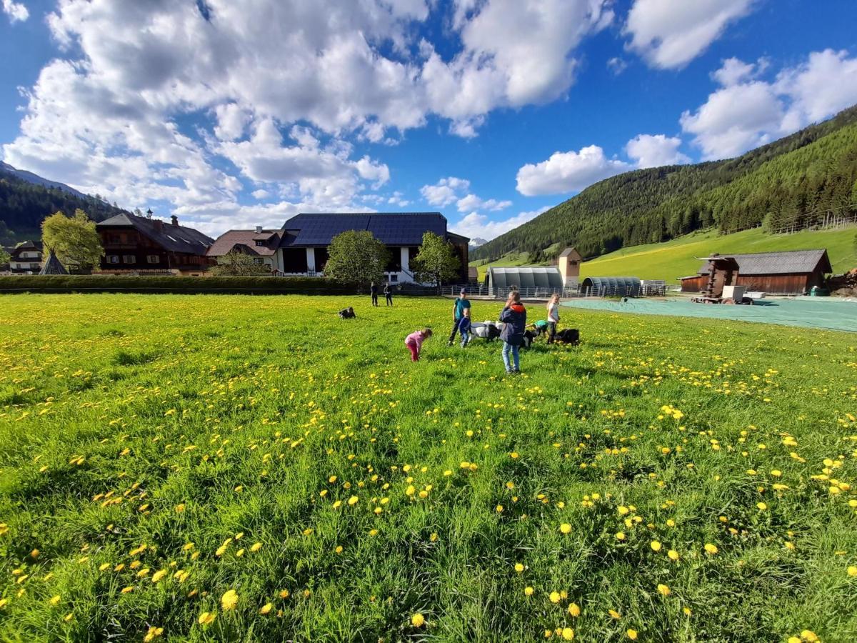 Sonnenchalet Neusess Mauterndorf  Esterno foto
